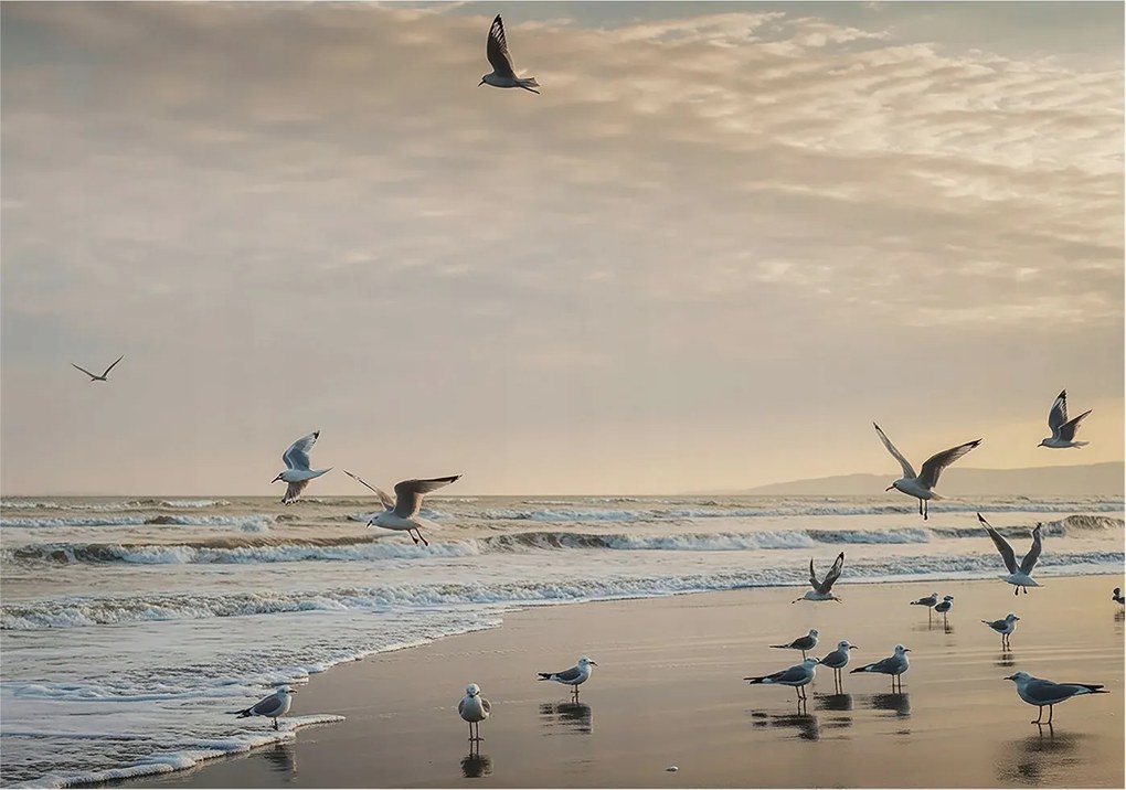 Fotótapéta Flizelin a Hálószobába Nappali Tengerparti nyugalom 312x219 Ragasztó