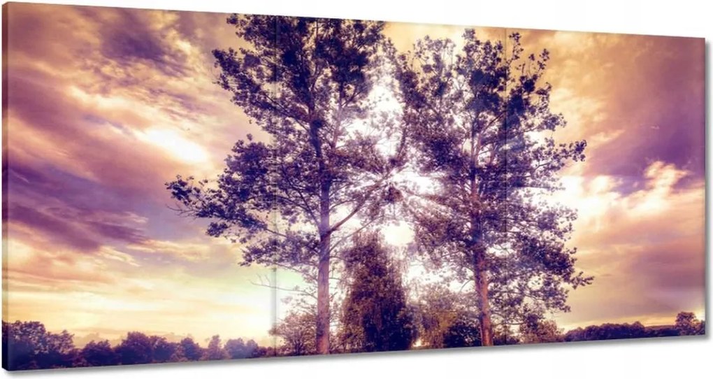 Festmények 120x60 Fák az út mellett