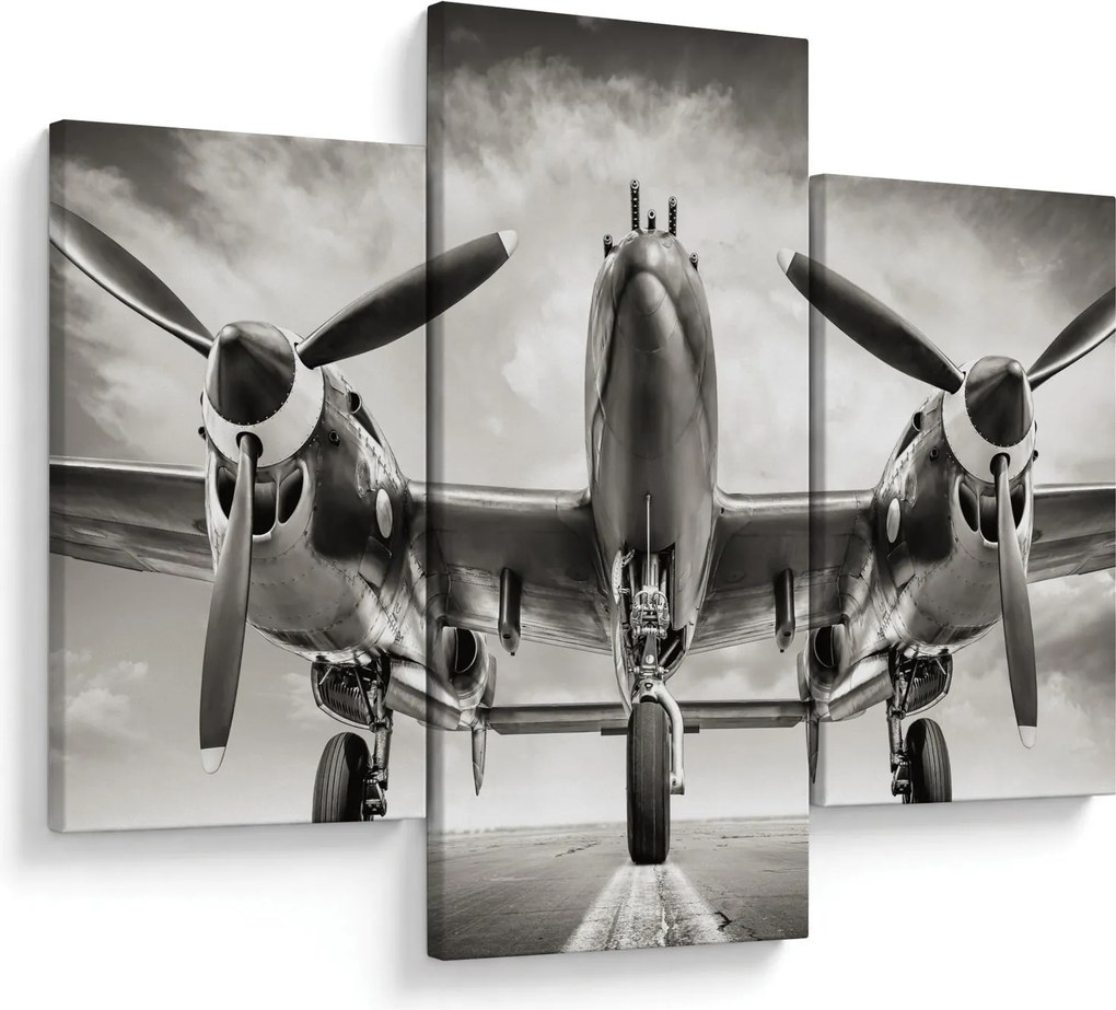 Kép - Warbird (90x60 cm)