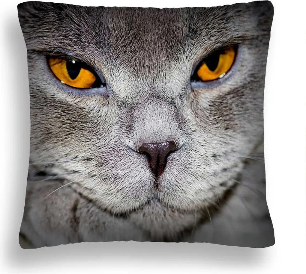 Nagy 50*50 Macska Párna 31 Sárga Macskaszem