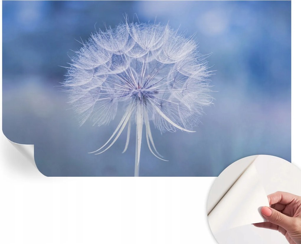 Öntapadós tapéta 3D fali furnér Kék finomság 416x254 cm