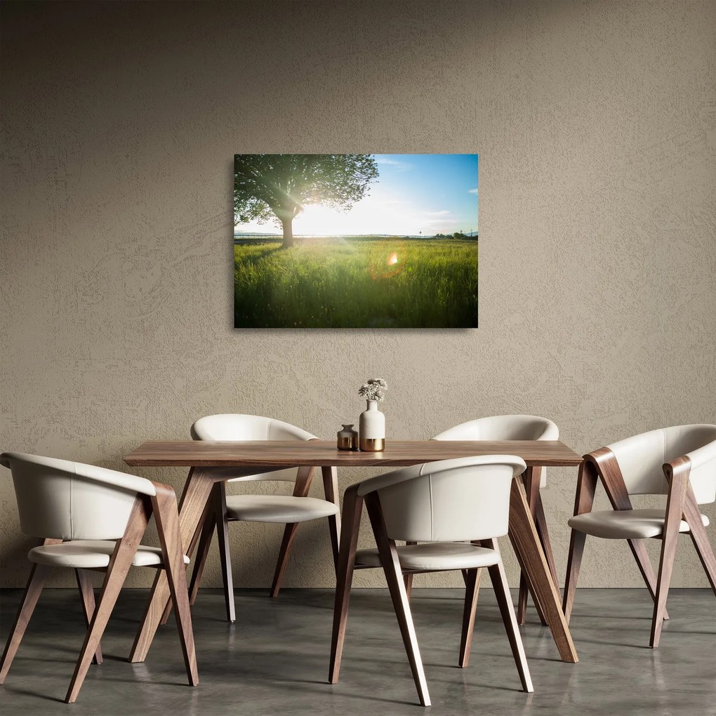 Egy fa képe a mezőn (üvegen) (70x50 cm)