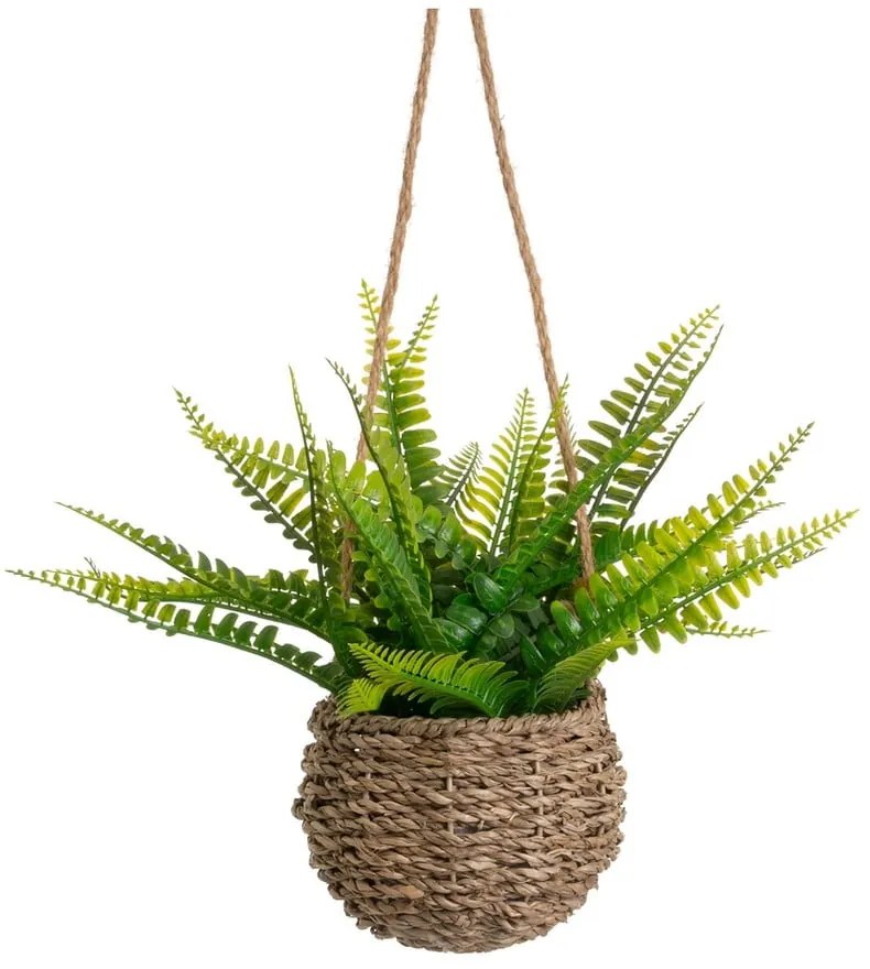 Haraszt műnövény (magasság 25 cm) – Casa Selección