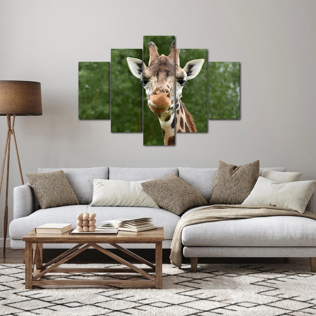 Egy zsiráf képe (150x105 cm)