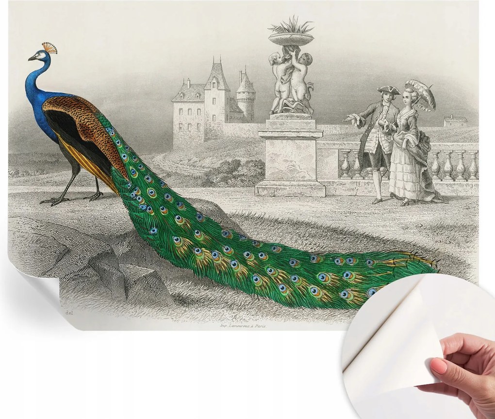 Fotótapéta Fali tapéta Hálószobába és Nappaliba Színes tollak 208x146 cm