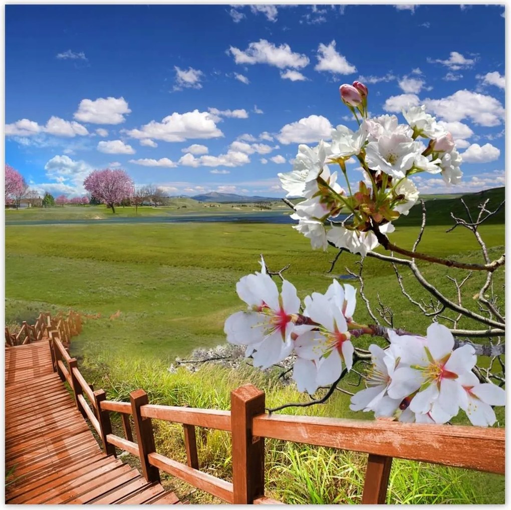 Poszterek 100x100 Lépcsőn lefelé