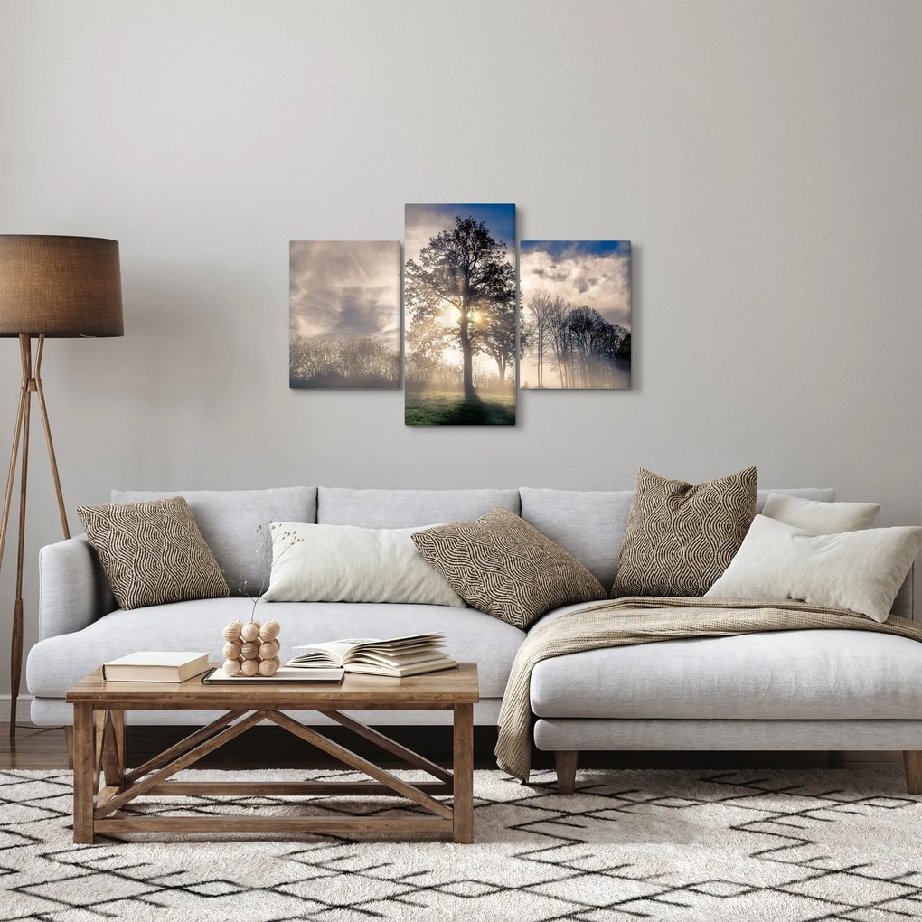 Fa a ködben képe (90x60 cm)