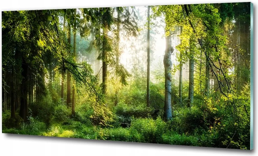 Fénykép üvegfestmény Reggeli nap erdő 100x50