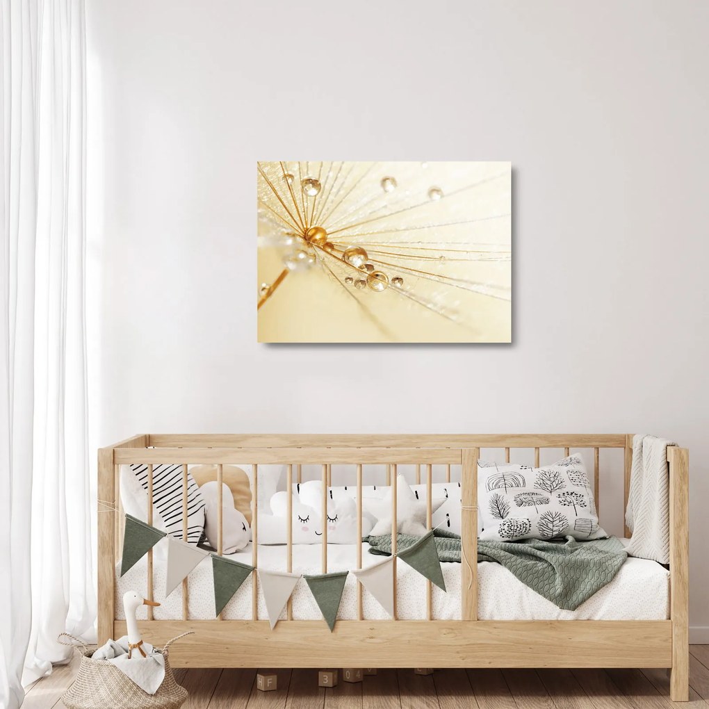 Üveg kép - Makro fotó pitypangról (70x50 cm)