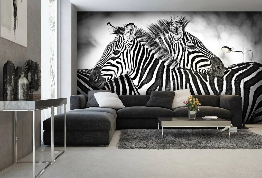 Fotótapéta - Zebra (152,5x104 cm)