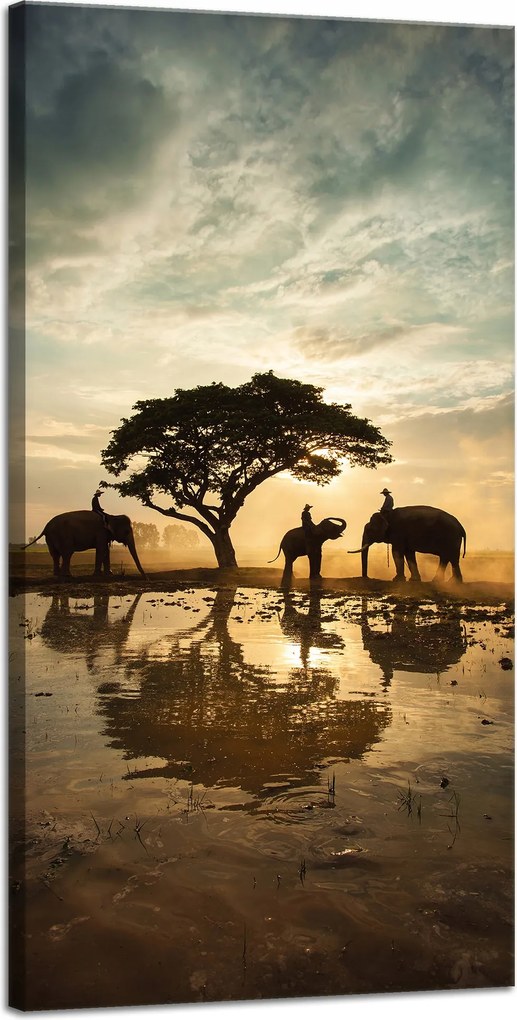 Vászonkép Emberek az elefántokon naplementekor 40x80 cm