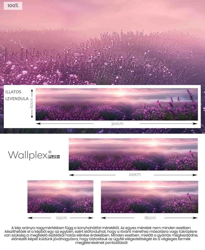 Wallplex konyhahátfal Illatos Levendula (Méret: 60x180)