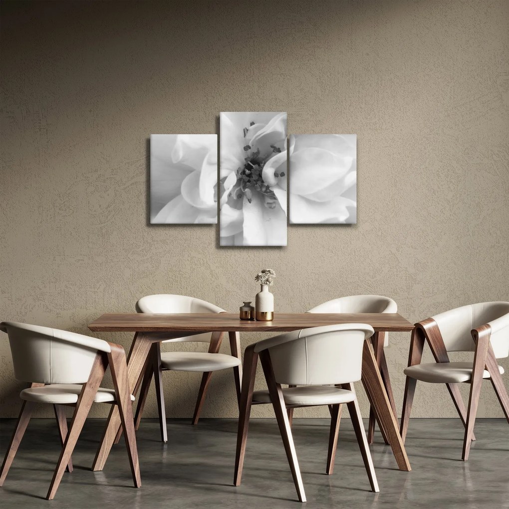 Kép - Virág, fekete-fehér (90x60 cm)