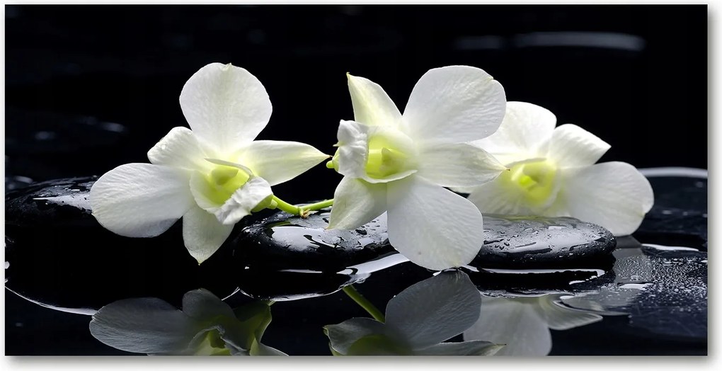 Fotó vászonkép edzett üveg Orchidea 140x70