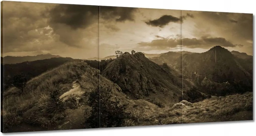 Festmények 120x60 Barna tájkép Tájkép