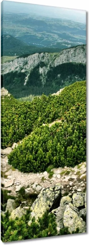 Vászonkép 40x100 Tátra Lengyel hegyek Kilátás