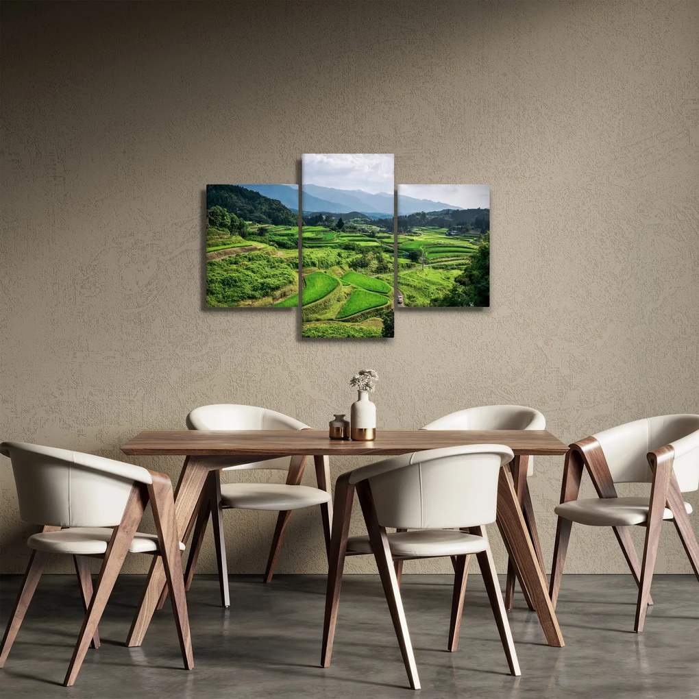 Rizsmező képe (90x60 cm)