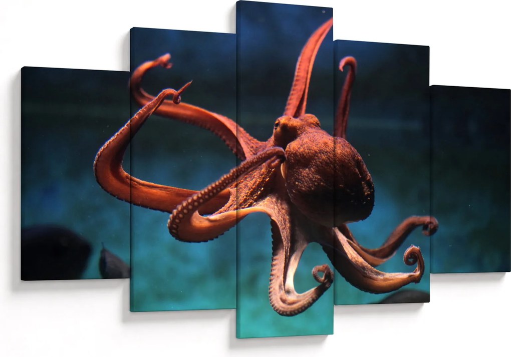 Kép - Octopus (150x105 cm)