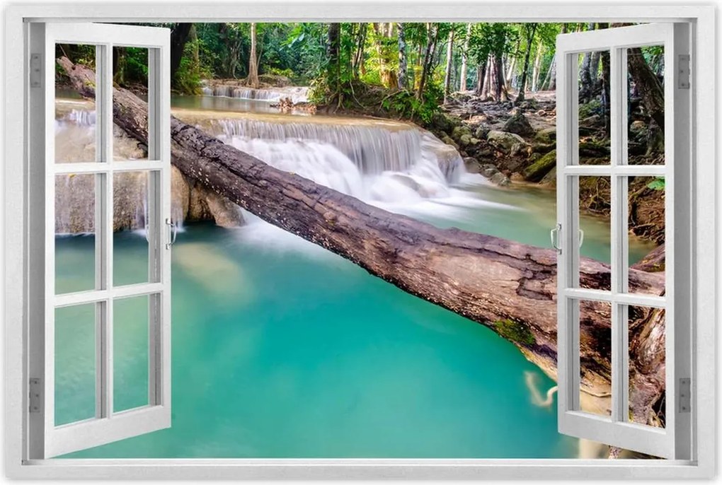 Poszterek 120x80 Kidőlt fa