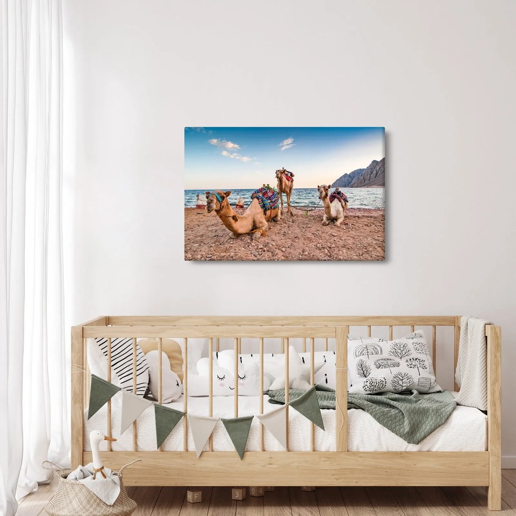 A tevék képe (90x60 cm)
