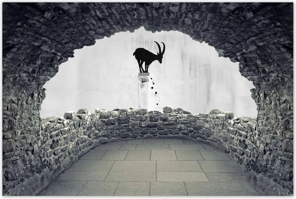 Poszterek 60x40 Kozica Banksy Hegyi gazella Nincs magánélet Falfestmény