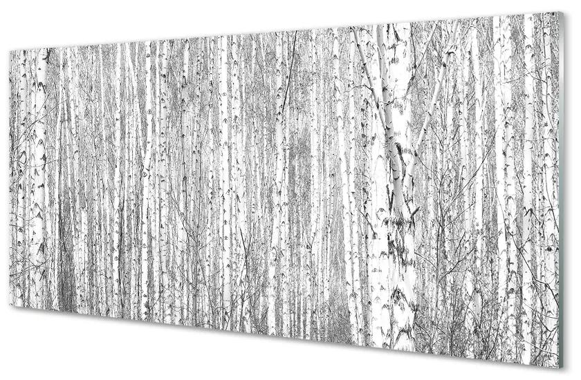 Akrilképek Fekete-fehér fa erdő 120x60 cm