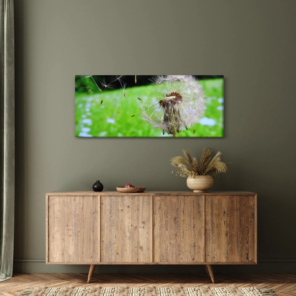 Pitypang képe (120x50 cm)