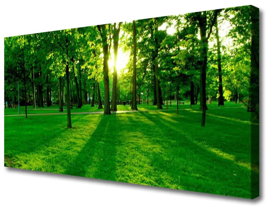 Vászonfotó Forest Park Természet 100x50 cm