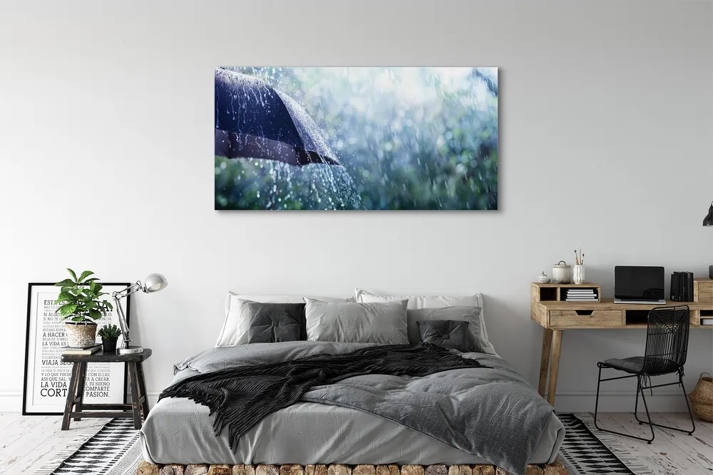 Canvas képek Esernyő eső esik 125x50 cm