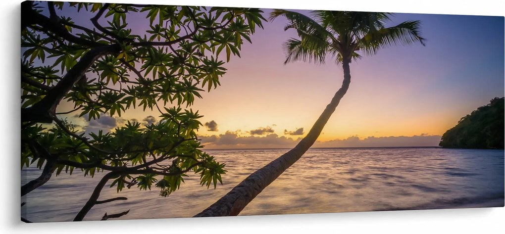 Kép a pálmafa a tengerparton (120x50 cm)