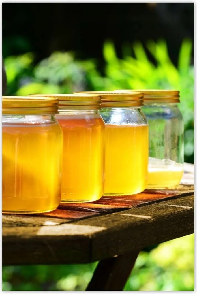 Poszterek 60x90 Természetes méz