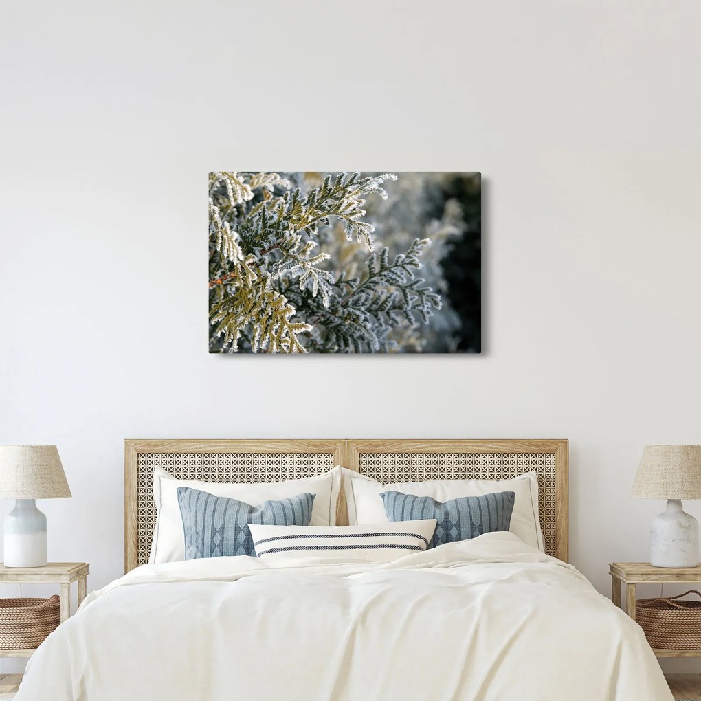 Kép - Ág részlet (90x60 cm)