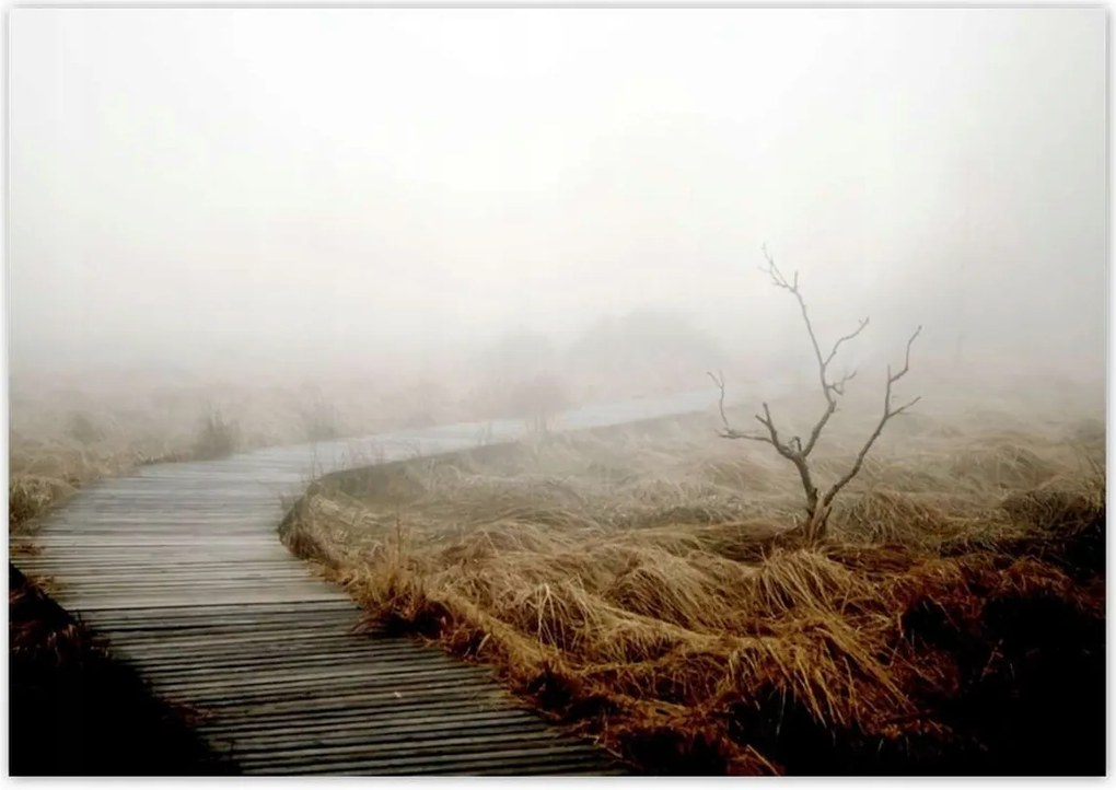 Poszterek 100x70 Reggeli fények