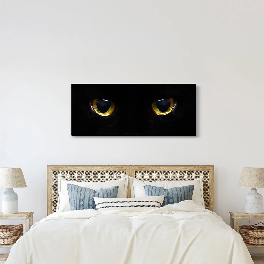 Kép - Macskaszemek (120x50 cm)
