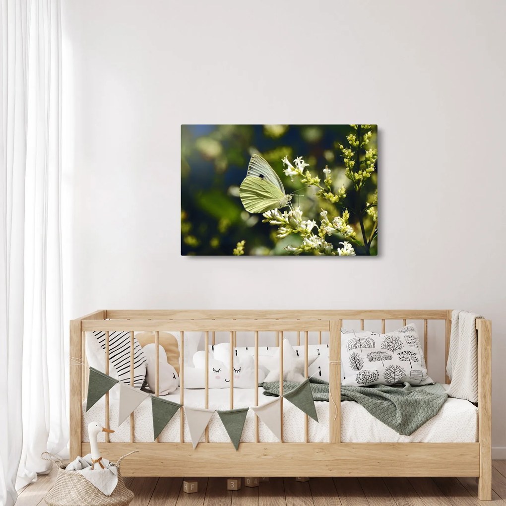 Pillangó képe (90x60 cm)