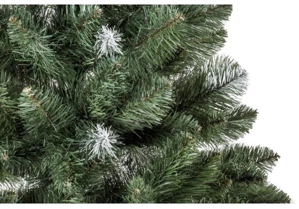 Karácsonyfa POLA 180 cm fenyő