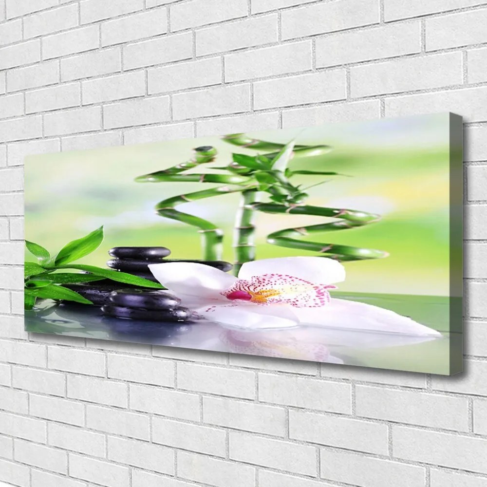 Vászonkép falra Bamboo Orchid Zen Spa 125x50 cm