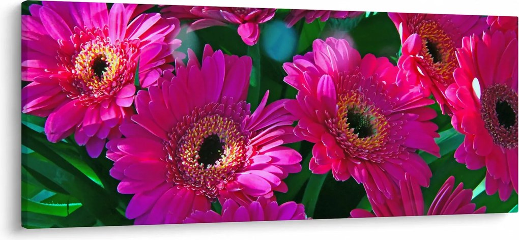 Kép - virágok (120x50 cm)
