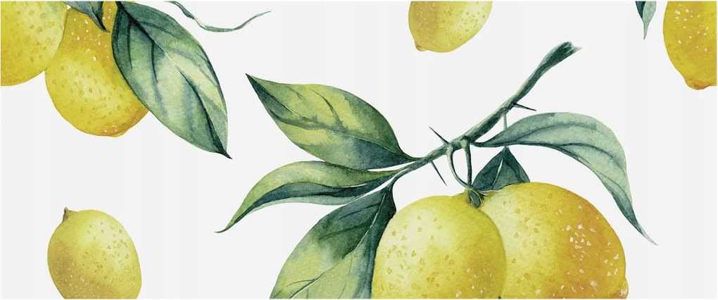 Fotótapéta Flizelin Dekoratív Hálószoba Citrom motívum 250x104