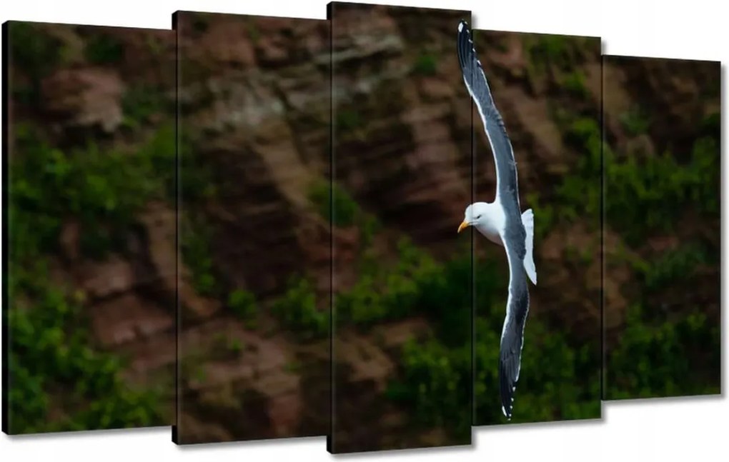 Vászonkép 100x60 Madarak