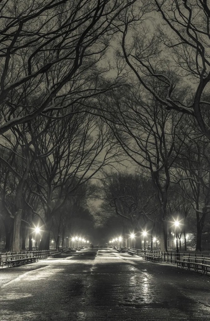 Poszter 53x81cm Éjszakai kilátás a Central Parkon át vezető útra, Assaf Frank