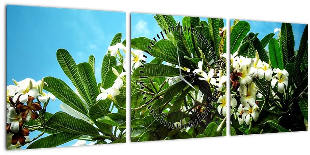 Kép - Plumeria (órával) (90x30 cm)