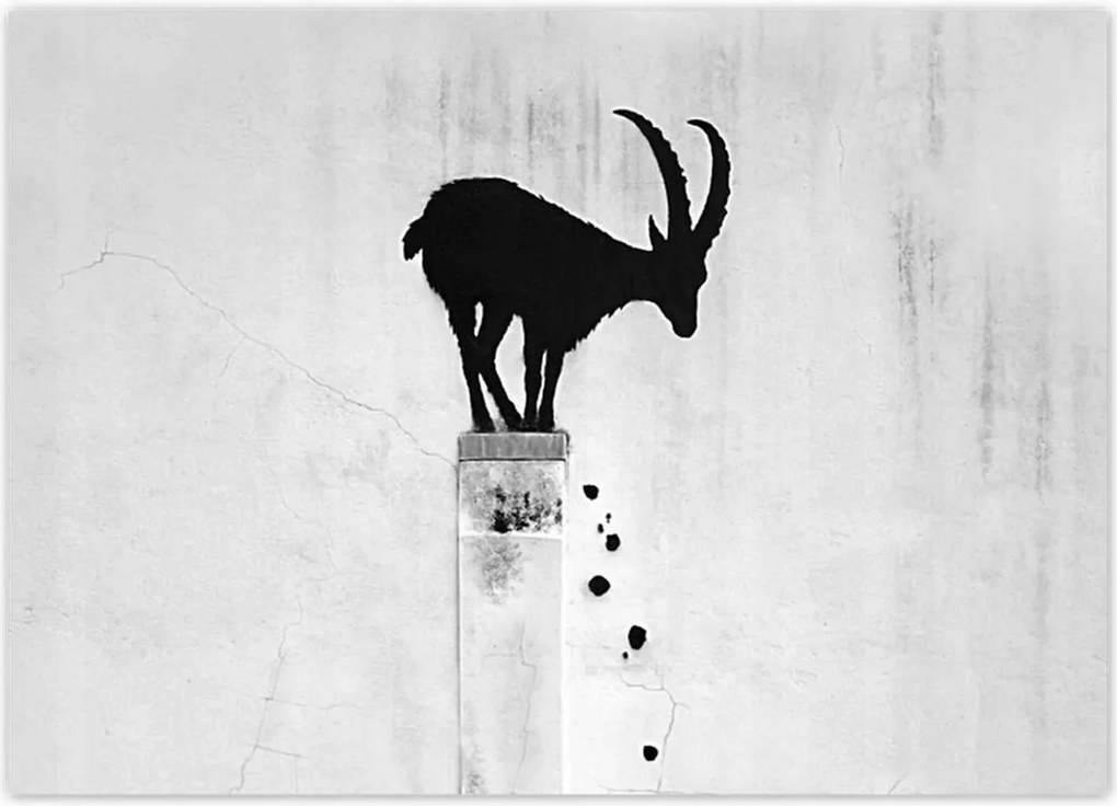 Poszterek 70x50 Kozica Banksy Hegyi gazella Nincs magánélet Falfestmény