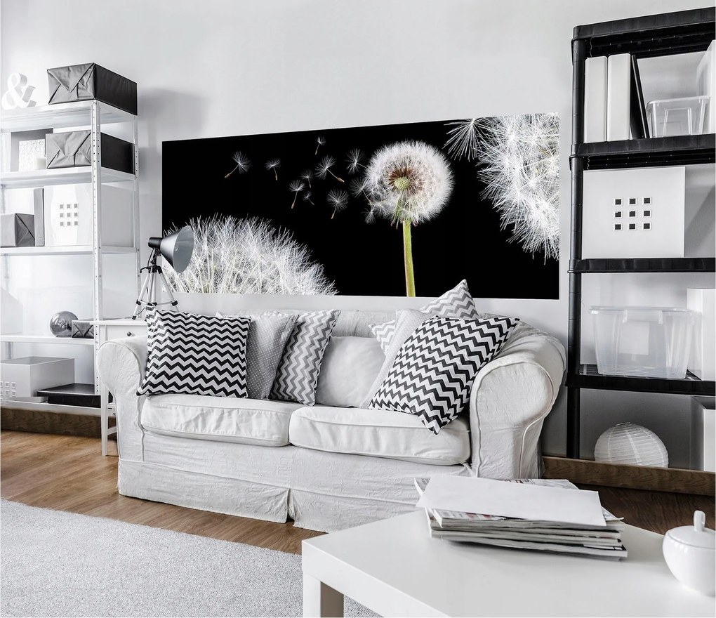 Flizelin fotótapéta Pitypang fekete alapon Makro 250x104 +ragasztó