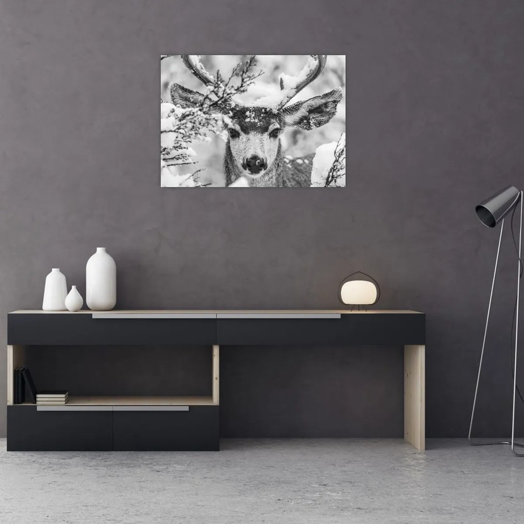 Kép - Szarvasok télen (70x50 cm)