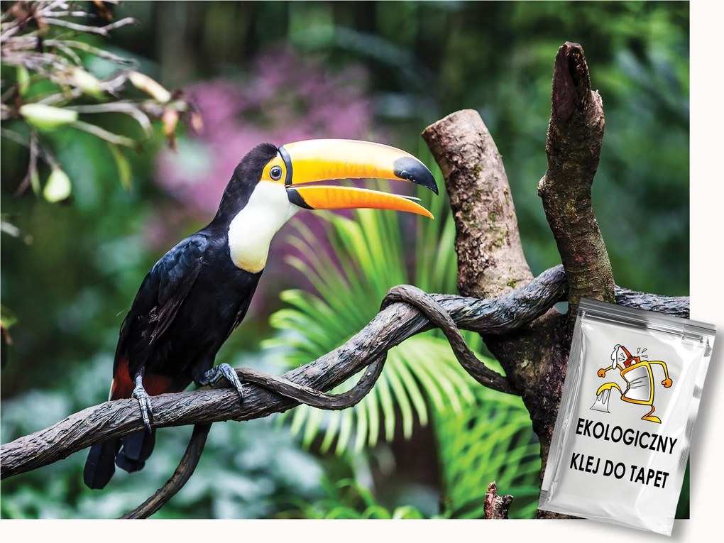 Fotótapéta Flizelina Madarak Tukán Egzotikus dzsungel 150x105 ragasztó
