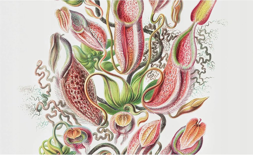 Fotótapéta Flizelin Dekoratív tapéta Növényi részletek 416x254 Ragasztó