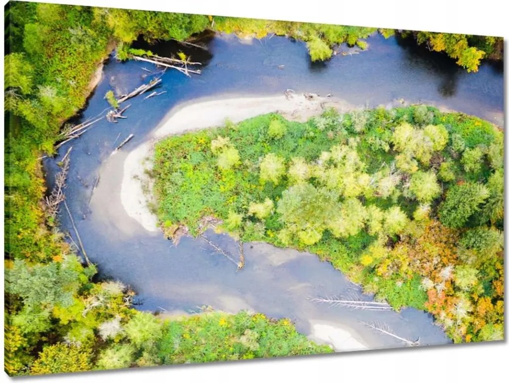 Vászonkép 90x60 Görbe út Erdő Ősz