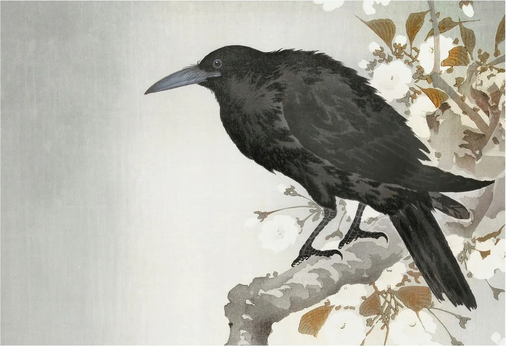 Stílusos Dekoratív Fotótapéta Flizelin Holló virágokkal 152x104 Ragasztó