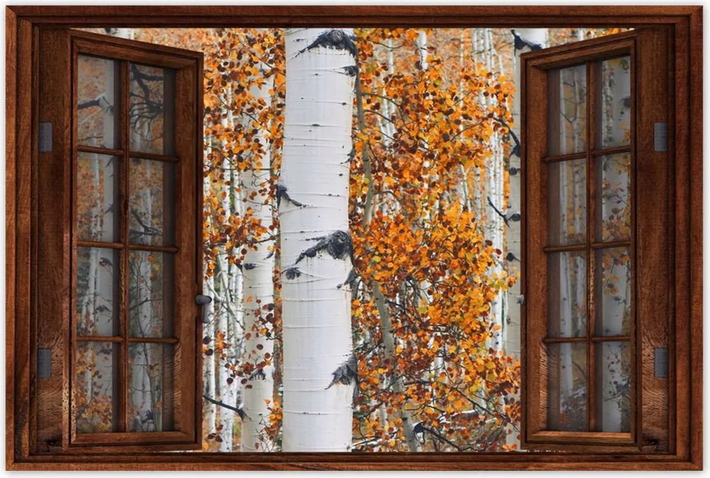 Poszterek 90x60 Őszi táj Nyírfa